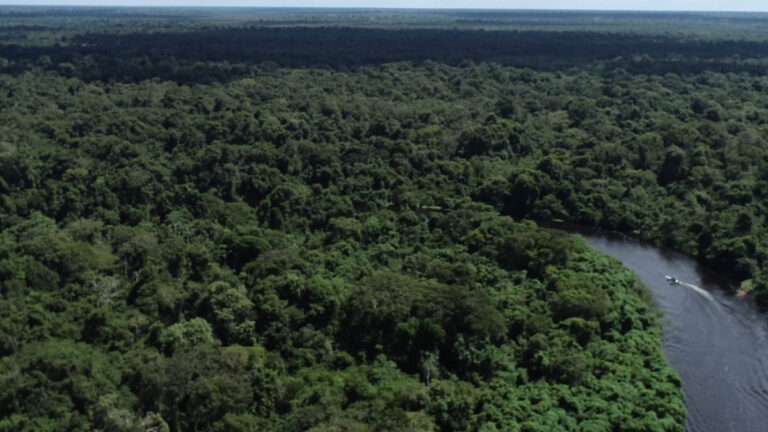 Normativa estabelece não concessão sobre atividades agropecuárias em áreas de preservação ambiental