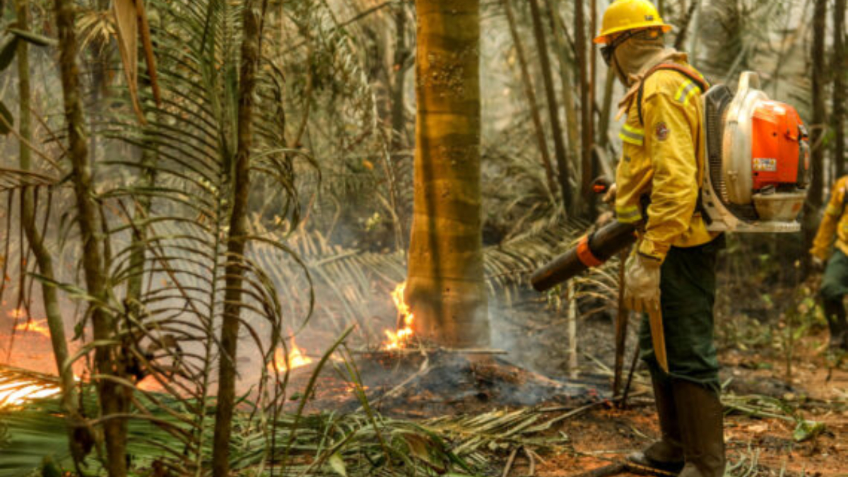 Governo de RO orienta população sobre medidas para evitar impacto da fumaça na saúde - News Rondônia