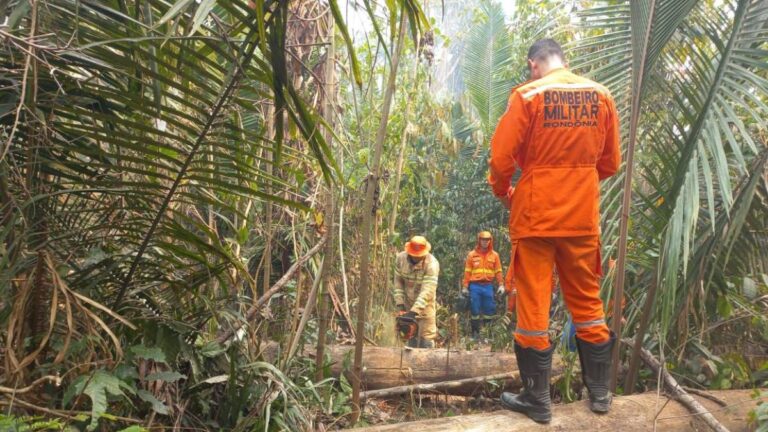 Ação conjunta do governo reforça investigação no combate às queimadas criminosas em Guajará-Mirim - News Rondônia