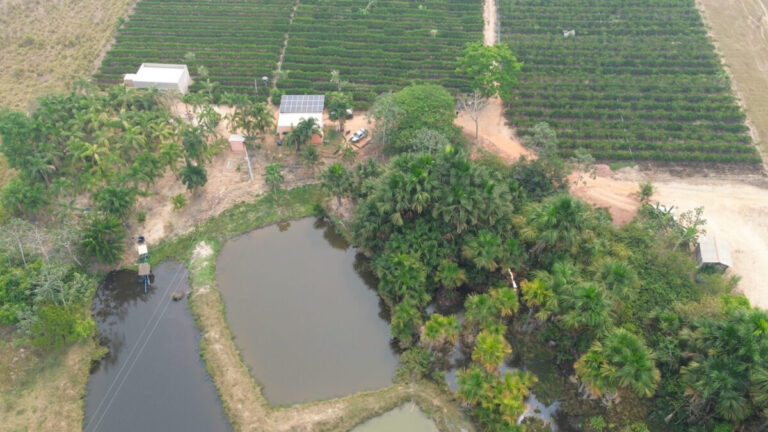 Ações sustentáveis orientadas pelo governo de RO ajudam produtores a superar estiagem severa com produtividade - News Rondônia