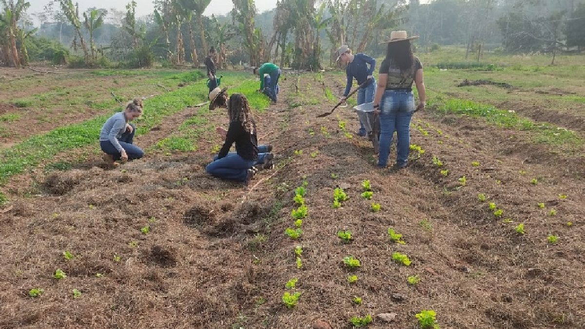 Ieda Chaves propõe estudo para a criação de Escola Família Agrícola em Porto Velho - News Rondônia