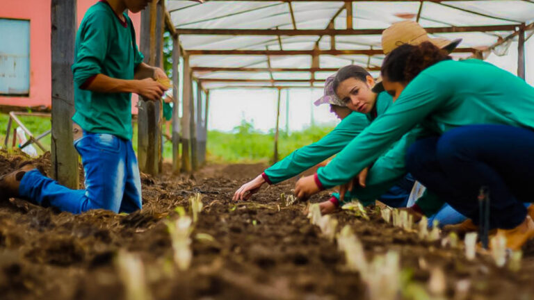 Ieda Chaves propõe estudo para a criação de Escola Família Agrícola em Porto Velho - News Rondônia