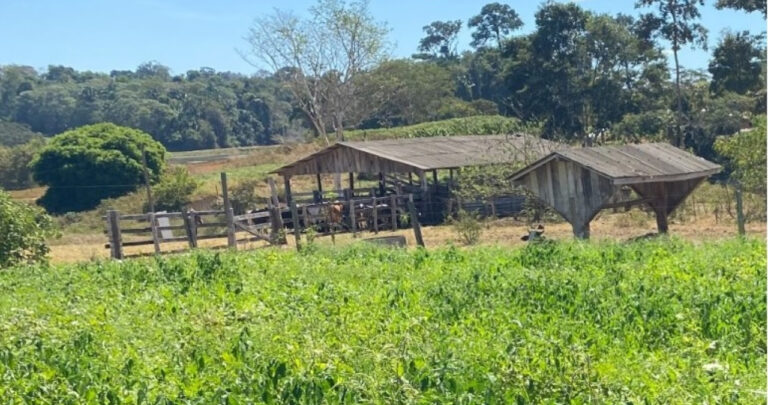Espigão do Oeste recebe recursos do mandato de Cláudia de Jesus para agricultura - News Rondônia
