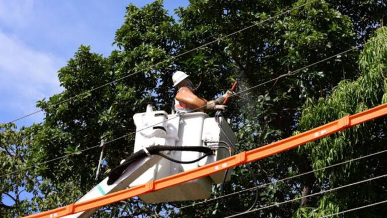 Dra. Taíssa cobra melhorias e Energisa inicia manutenção na Aldeia Tanajura, em Guajará-Mirim - News Rondônia