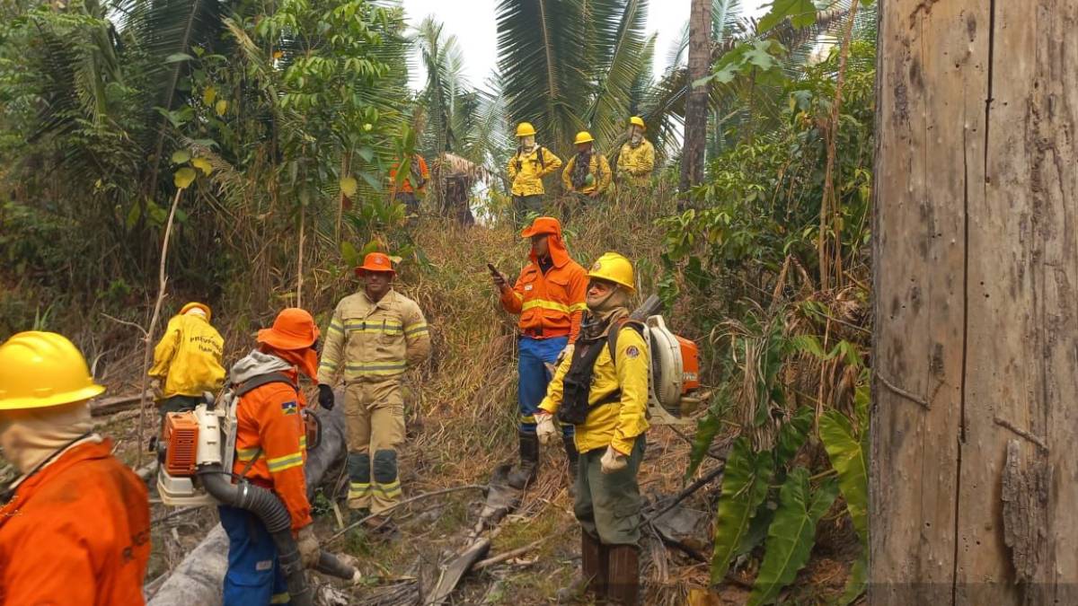 Ação conjunta do governo reforça investigação no combate às queimadas criminosas em Guajará-Mirim - News Rondônia