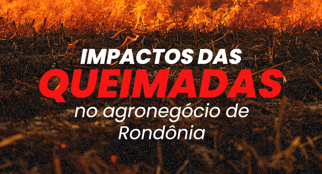 Sistema FAPERON e Sindicatos de Produtores Rurais de Rondônia destacam os impactos e prejuízos devastadores das queimadas na produção agropecuária do Estado