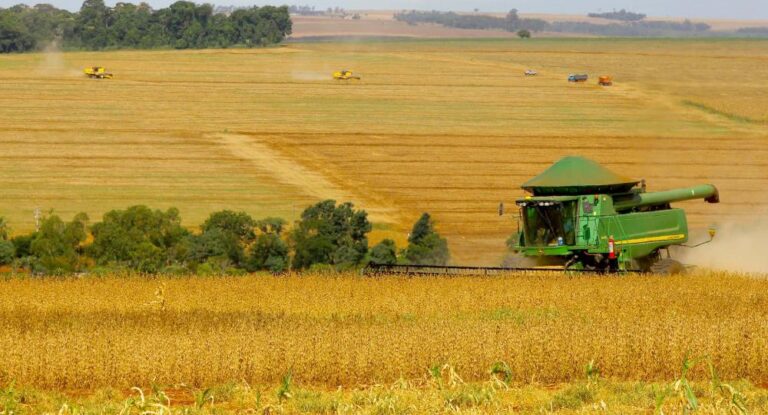 Brasil debate mecanismos para a inclusão da agricultura familiar nas compras internacionais do Programa Mundial de Alimentos (PMA) - News Rondônia