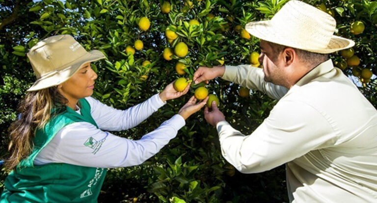 Curso de Fruticultura será incluído na grade do IDEP após indicação da Dra. Taíssa