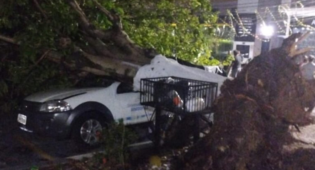 Tempestade intensa causa grandes estragos, em Ji-Paraná