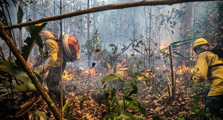Operação Temporã: Ação conjunta reduz em 71,5% as áreas atingidas por incêndios no Parque Estadual de Guajará-Mirim