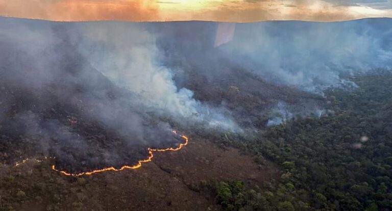 Brasil concentra 76% dos incêndios na América do Sul