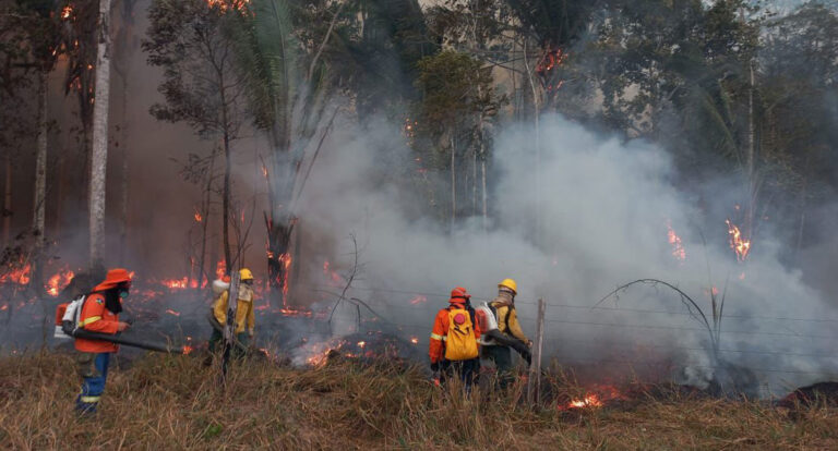 Reforço conjunto das forças de seguranças eliminam grandes focos de incêndios criminosos em Rondônia - News Rondônia