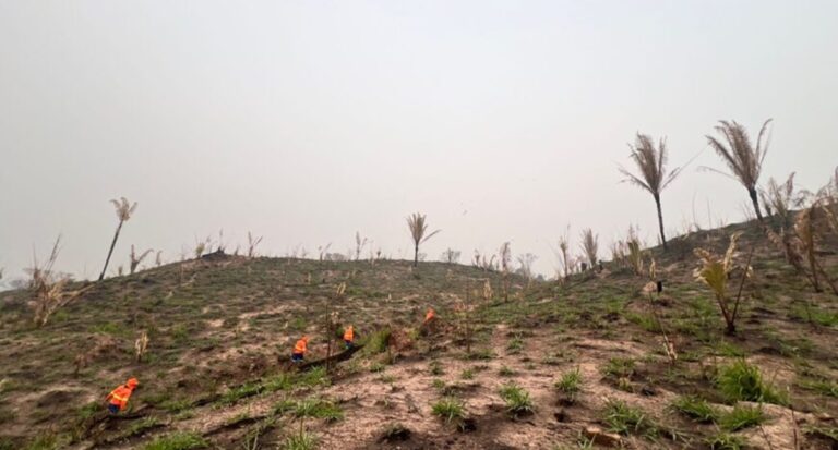 Em 24 horas, governo de RO elimina focos de incêndios no Parque de Guajará-Mirim e reduz drasticamente área atingida