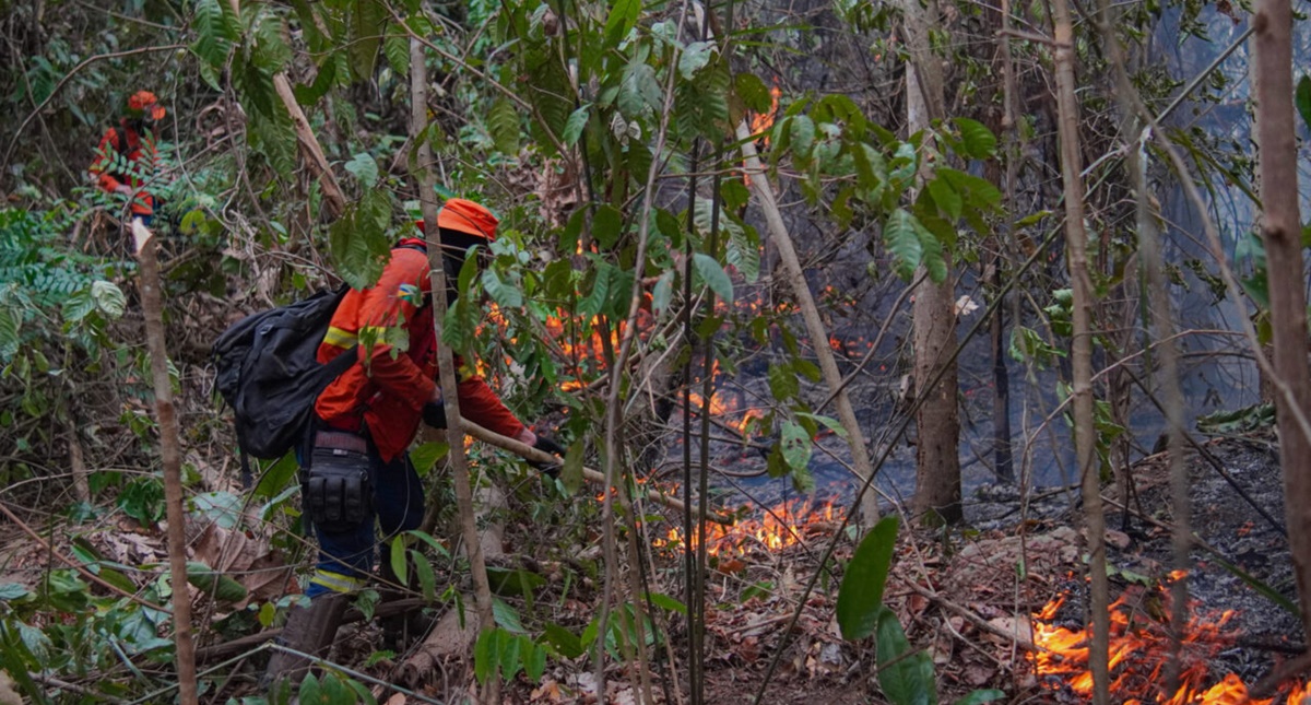 Combate a incêndio é contínuo no Parque Guajará-Mirim e na região Soldado da Borracha, mesmo com dificuldade de acesso
