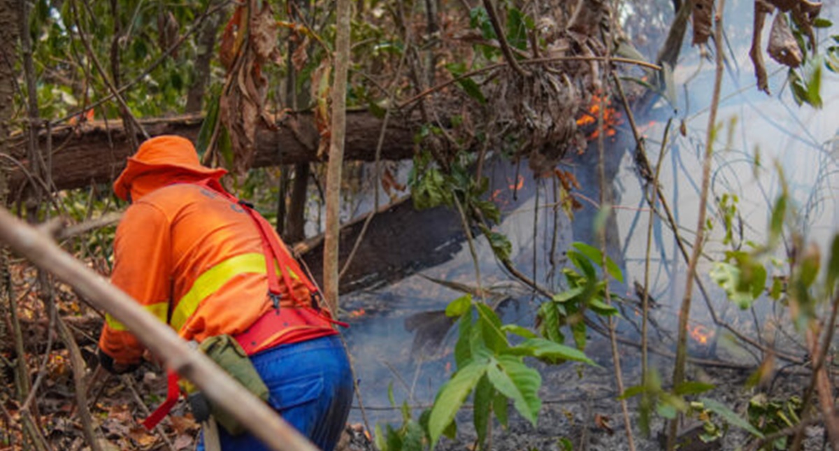 Combate a incêndio é contínuo no Parque Guajará-Mirim e na região Soldado da Borracha, mesmo com dificuldade de acesso - News Rondônia Combate a incêndio é contínuo no Parque Guajará-Mirim e na região Soldado da Borracha, mesmo com dificuldade de acesso