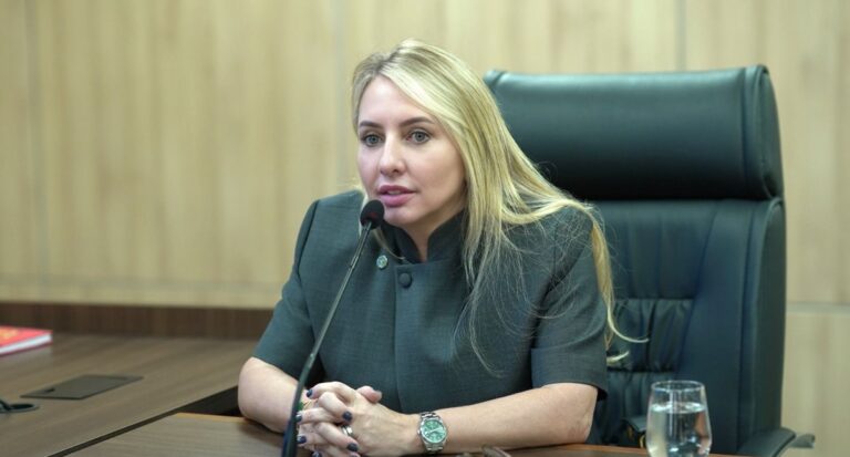 Ieda Chaves solicita substituição de ponte de madeira por concreto sobre o Rio Guarajús, na RO-499 - News Rondônia