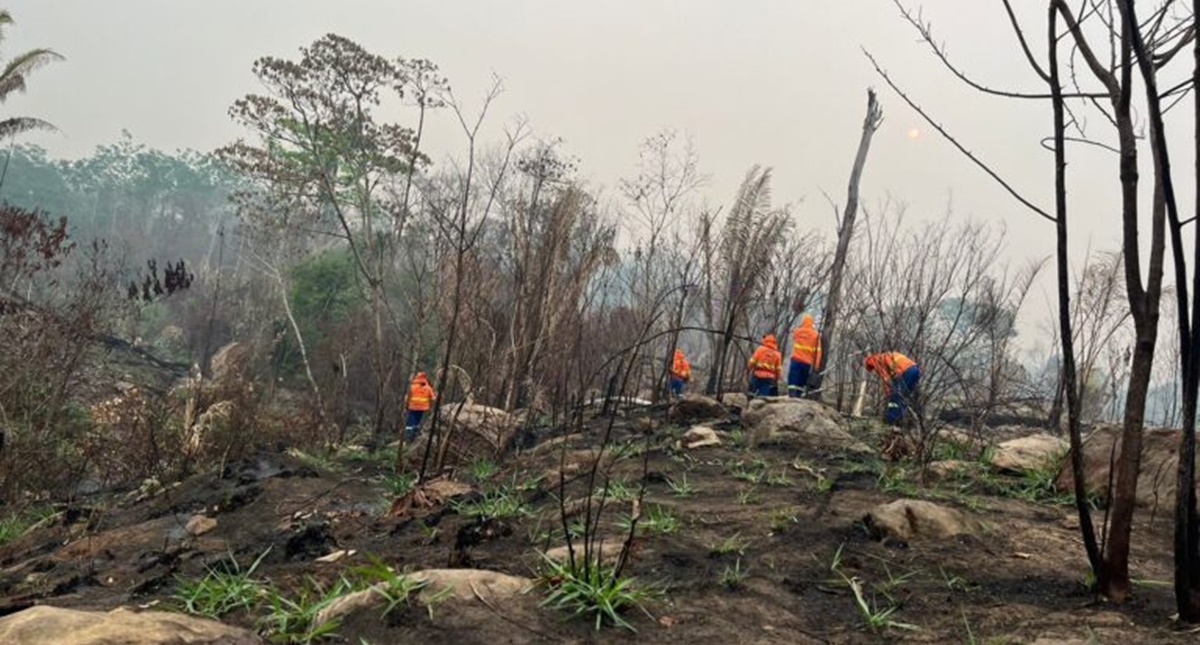 Em 24 horas, governo de RO elimina focos de incêndios no Parque de Guajará-Mirim e reduz drasticamente área atingida