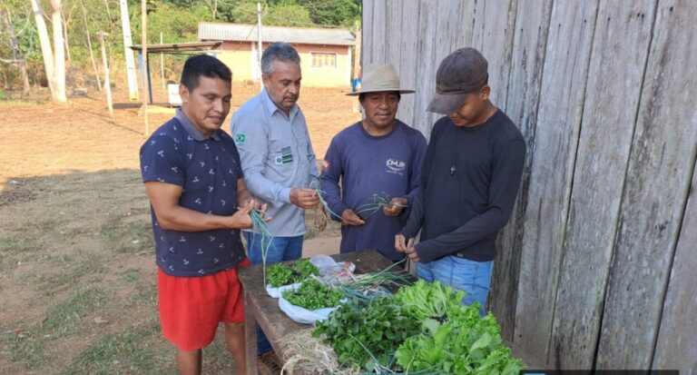 Implantação de hortas agroecológicas fortalece produção sustentável alimentar em comunidades indígenas