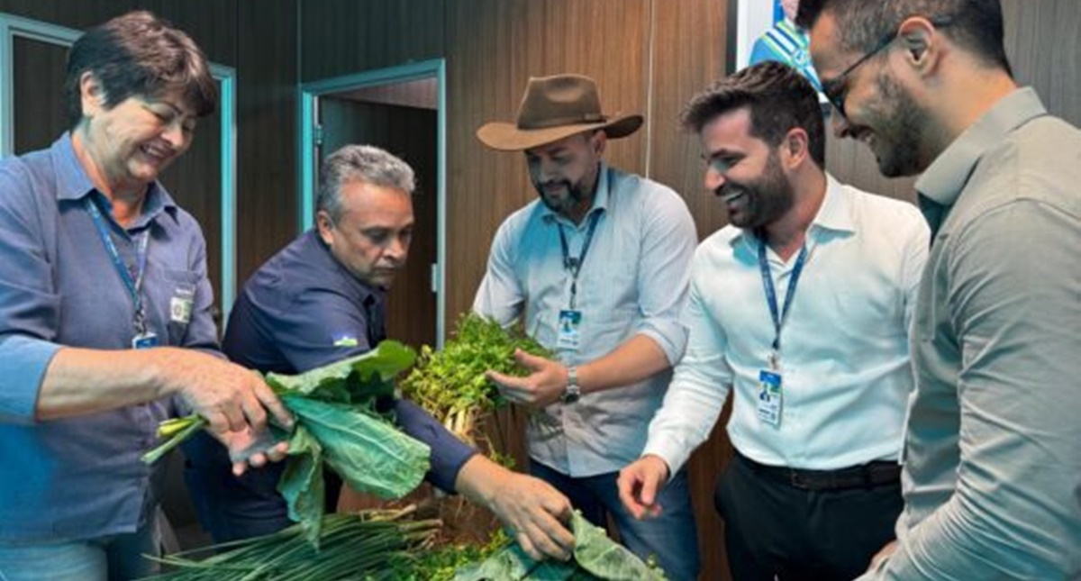 Implantação de hortas agroecológicas fortalece produção sustentável alimentar em comunidades indígenas