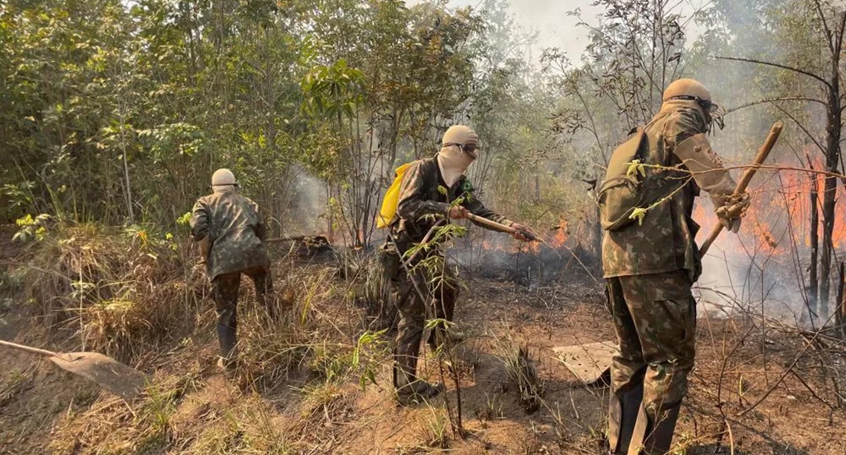 Sem um centavo de ajuda do Governo de Rondônia, o Exército mobiliza homens, equipamentos e recursos para combater queimadas. - News Rondônia