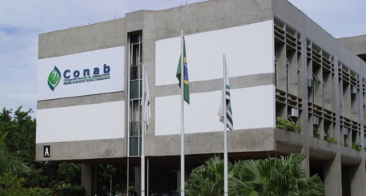 Novo portal permite acesso fácil e ágil a informações sobre operações de comercialização da Conab - News Rondônia
