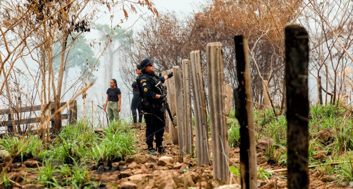 Parque Estadual Guajará-Mirim atinge redução recorde em área atingida por incêndios com ação conjunta da Operação Temporã - News Rondônia Parque Estadual Guajará-Mirim atinge redução recorde em área atingida por incêndios com ação conjunta da Operação Temporã - News Rondônia