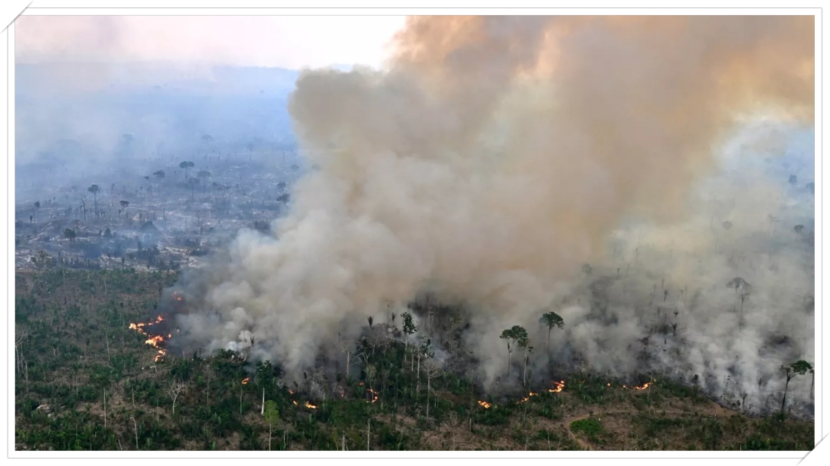 Emergência climática: Lula chama de oportunismo e aponta “pastor” como suspeito de incentivar os incêndios - News Rondônia