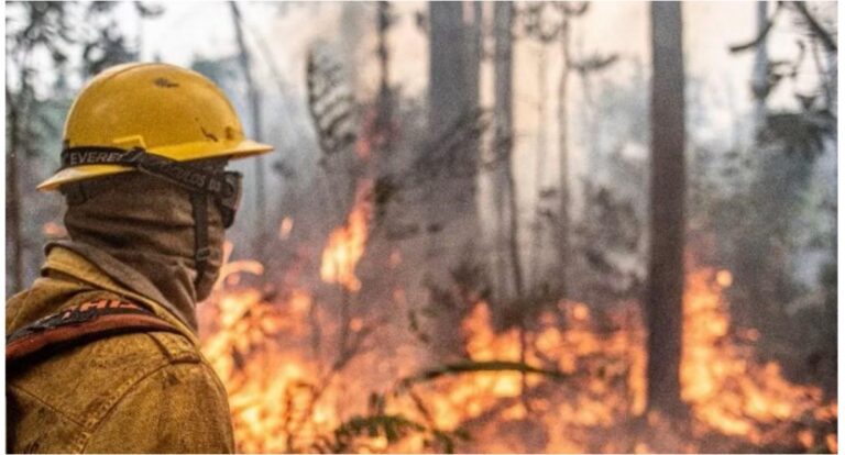 Deputado Coronel Chrisóstomo critica omissão do governo e alerta para devastação da Amazônia no dia da Amazônia - News Rondônia