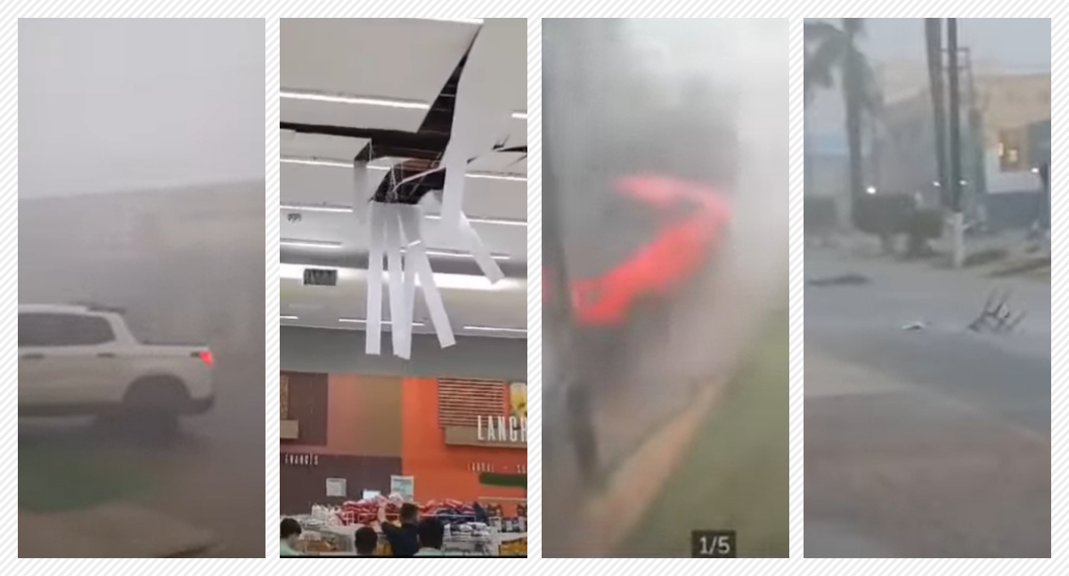 Temporal deixa rastro de destruição em Vilhena: ventania derruba árvores e causa prejuízos - News Rondônia