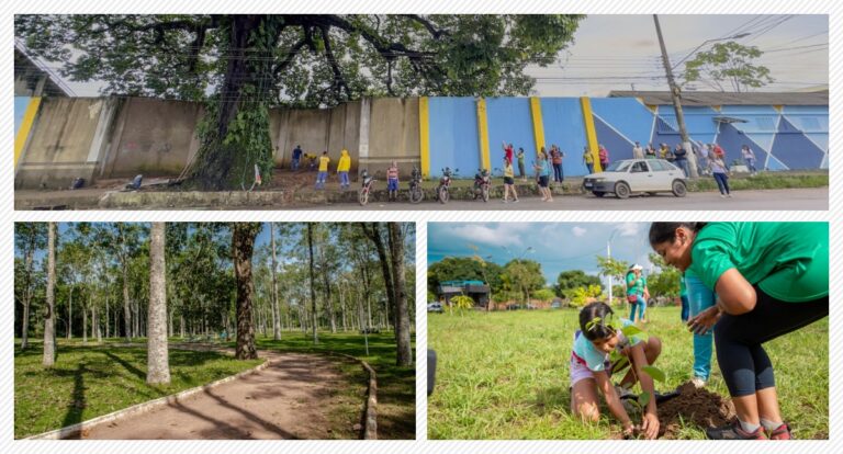 DIA DA ÁRVORE - Plantio de mudas e outras iniciativas têm contribuído para a recuperação de áreas degradadas de Porto Velho - News Rondônia