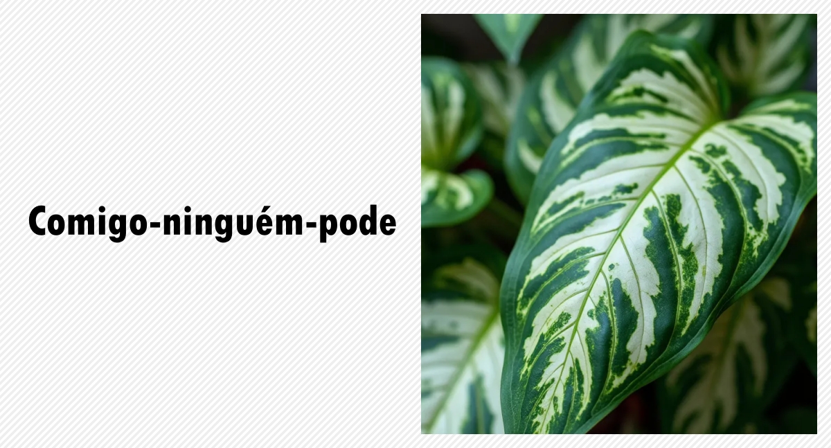 Plantas perigosas para os pets - News Rondônia