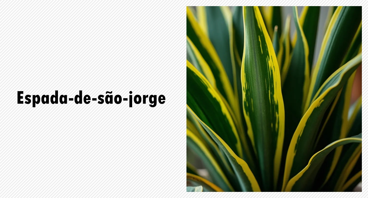 Plantas perigosas para os pets - News Rondônia