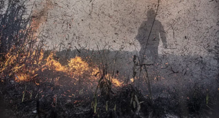 Focos de incêndios no Brasil já são 76% maiores que em 2023