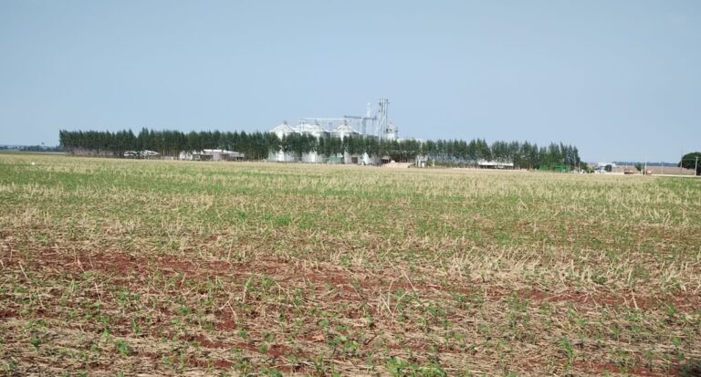 Crea-RO inicia fiscalização em propriedades rurais para garantir a participação de Engenheiro Agrônomo na assistência técnica - News Rondônia
