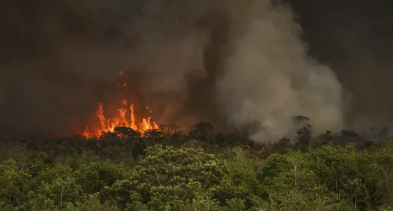 Brasil tem 22,38 milhões de hectares atingidos pelo fogo em nove meses