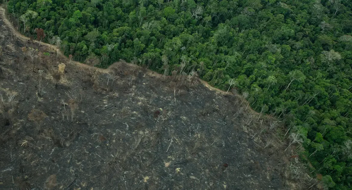 Greenpeace: imagens mostram novas áreas de garimpo em TIs na Amazônia