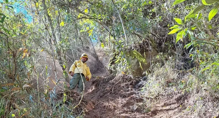 ICMBio multa Exército em 6,5 milhões por incêndio florestal em parque