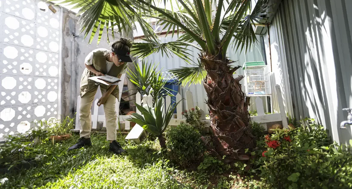 Prevenção de dengue deve ir além de mensagens sobre hábitos e cuidados