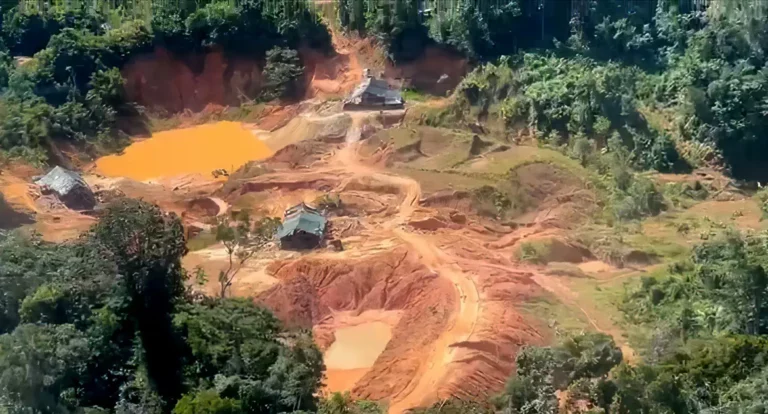 Crimes ambientais na Amazônia Legal aumentam 88%, aponta PRF