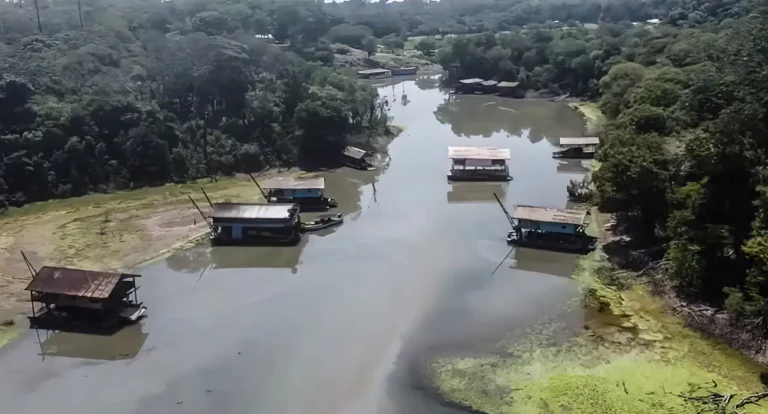 Rios na Amazônia tem risco muito alto de contaminação por mercúrio