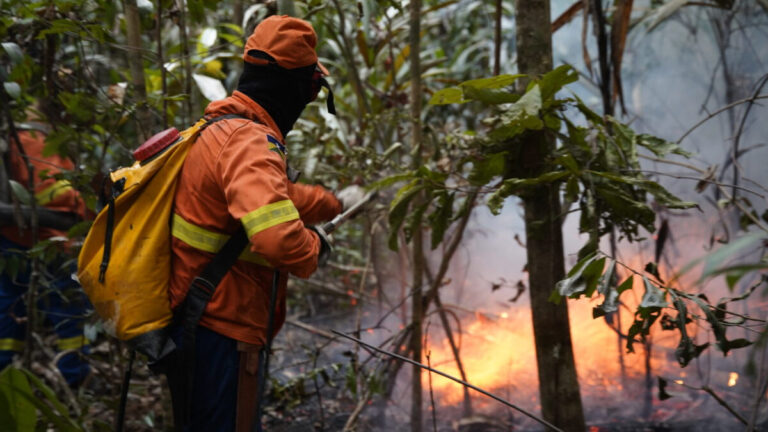 Sancionada pelo governo de RO lei que prevê medidas mais rigorosas contra incêndios florestais