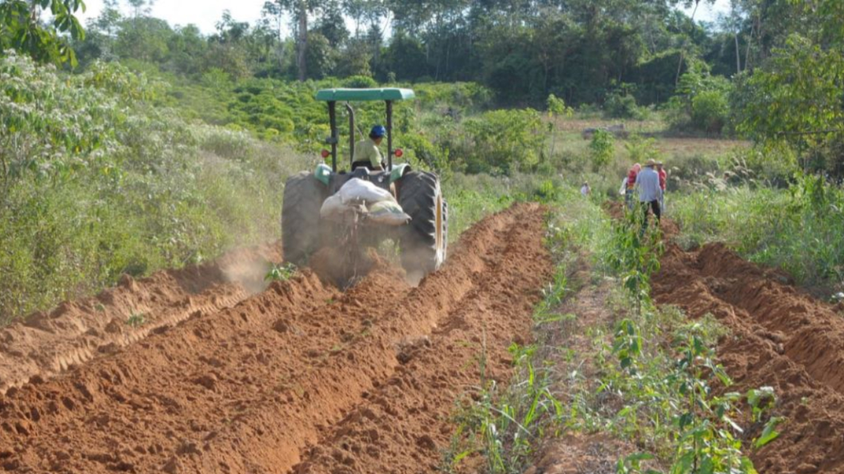 Alan Queiroz destina R$ 60 mil para aquisição de maquinários agrícolas em Machadinho do Oeste - News Rondônia