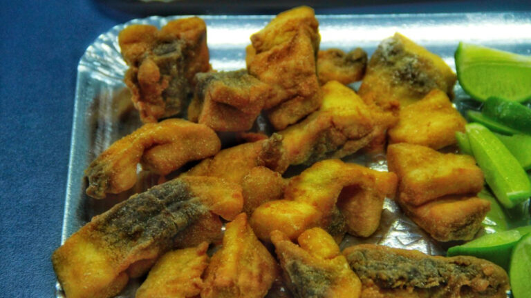 Governo de RO leva Tambaqui para Feira Internacional de Pescados em São Paulo