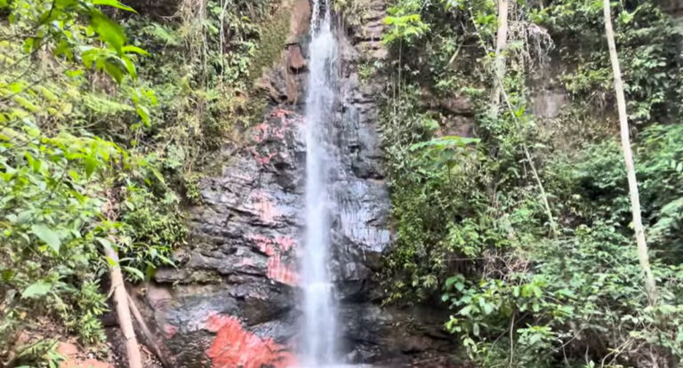 Bora Bora Brasil explora o Refúgio Ecológico Arte Nativa: Assista agora - News Rondônia