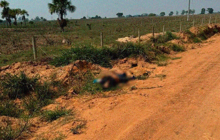 Polícia identifica homem executado na zona rural - News Rondônia