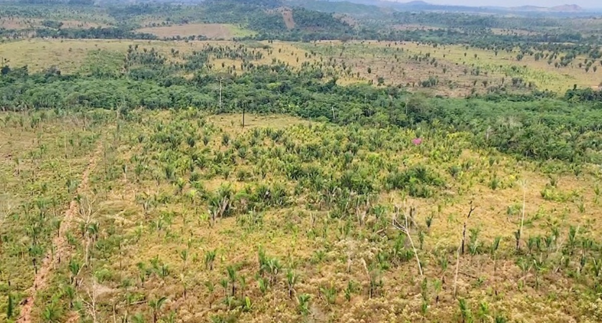Ministério Público obtém reconhecimento da ilegalidade de associações de produtores rurais em Nova Mamoré e Guajará-Mirim - News Rondônia