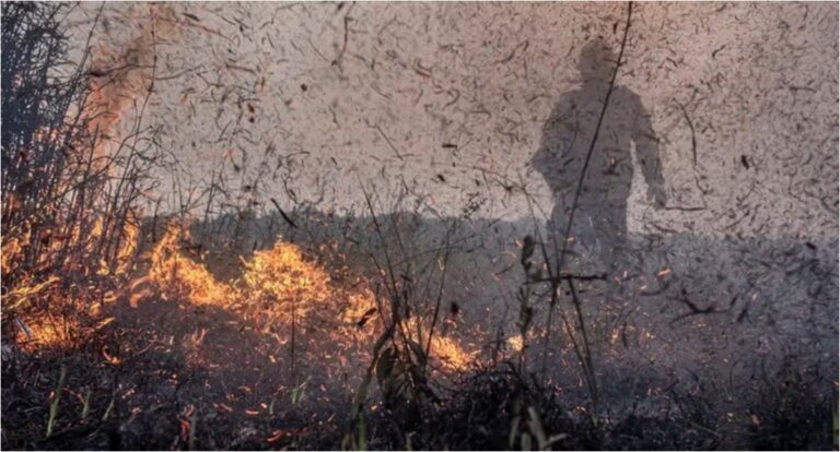 MP autoriza crédito extraordinário para ministérios atuarem no combate à crise climática e apoio a populações atingidas - News Rondônia