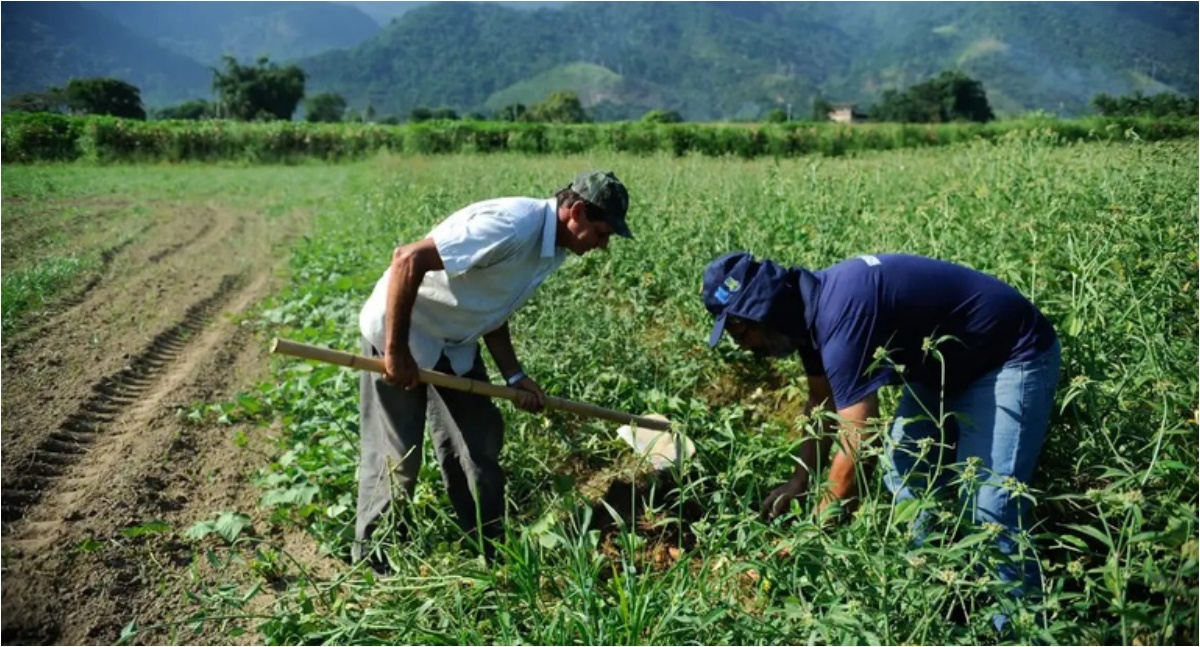 MIDR disponibiliza R$ 300 milhões para pequenos agricultores do Norte e do Centro-Oeste