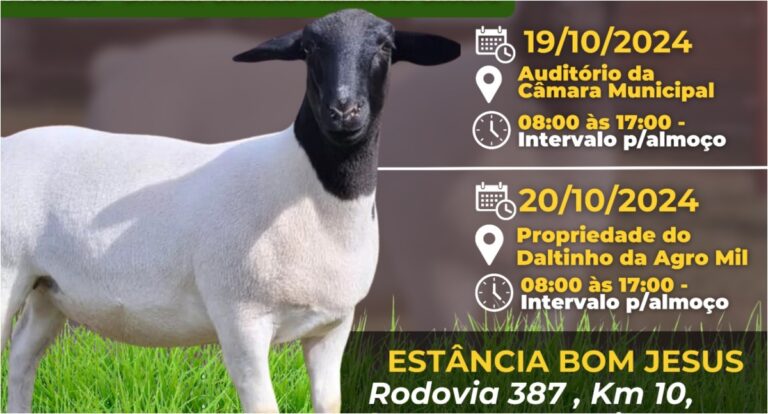 Curso voltado a pequenos e médios criadores de cordeiro será realizado em Espigão do Oeste - News Rondônia