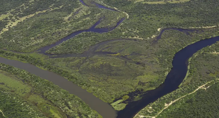 Maior parte da Mata Atlântica tem menos de 30% de vegetação nativa